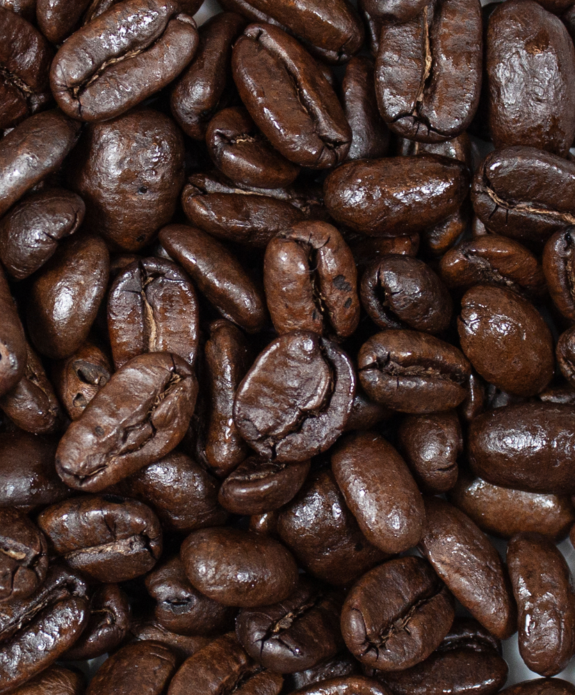 Dark Roast Sumatra
